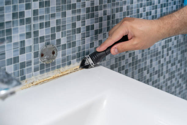 Best Local Mold Removal Service  in Abbeville, AL