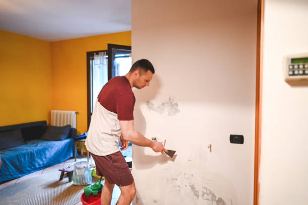 Best Local Mold Removal Service  in Abbeville, AL